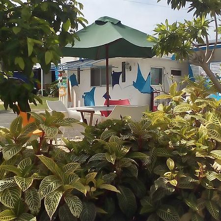Cottage Blue Kabira Ishigaki  外观 照片